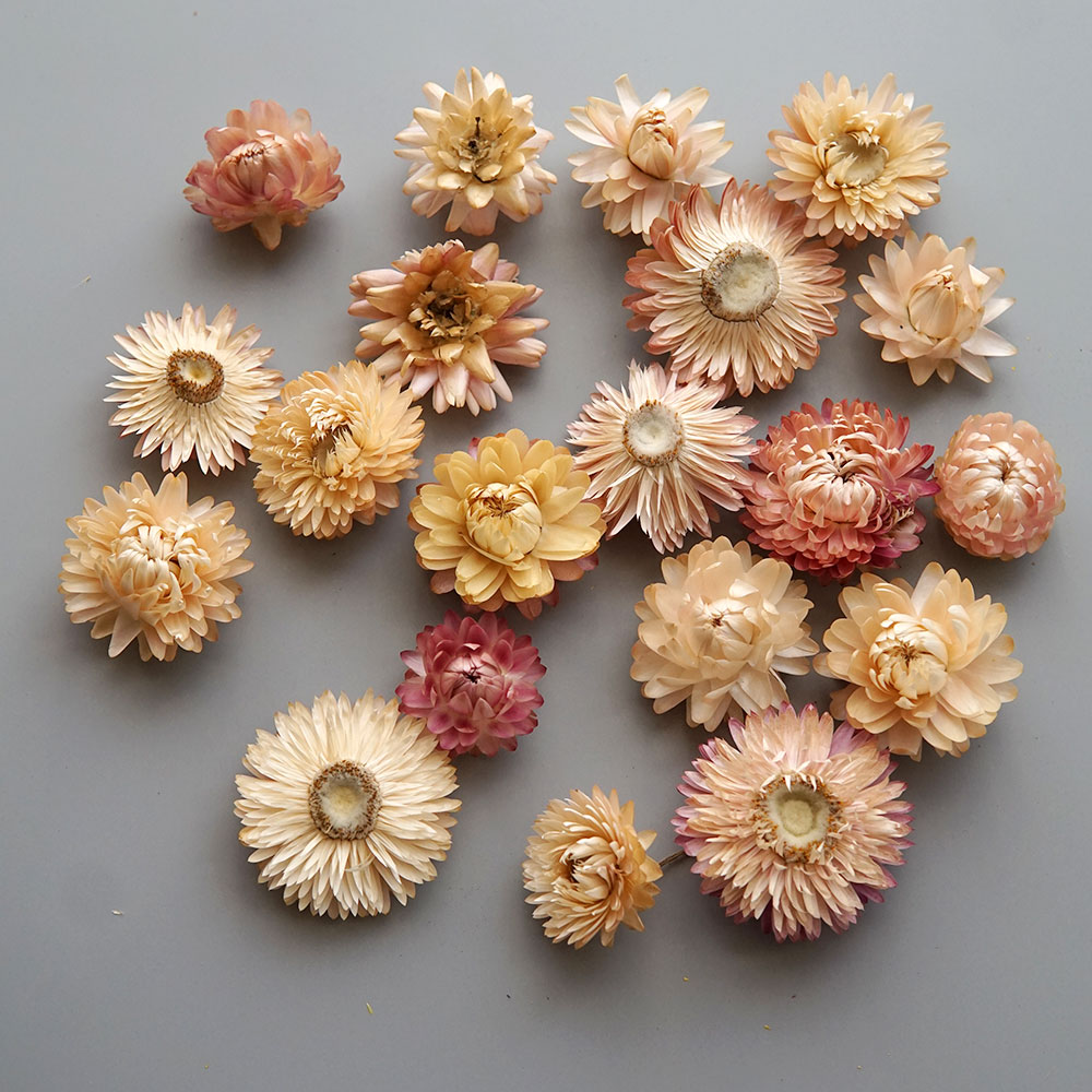 Couronne de chrysanthème color - Candle Making Diy avis et prix